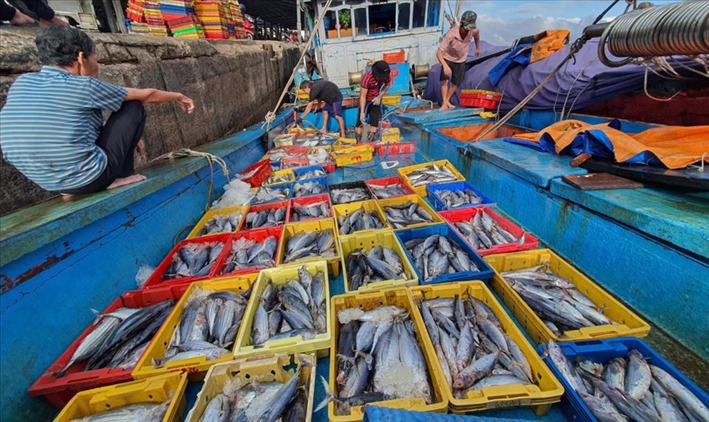 Decision No. 214/QD-BNN-TCTS announcing  the list of designated fishing ports with sufficient system to verify origins of caught fisheries products